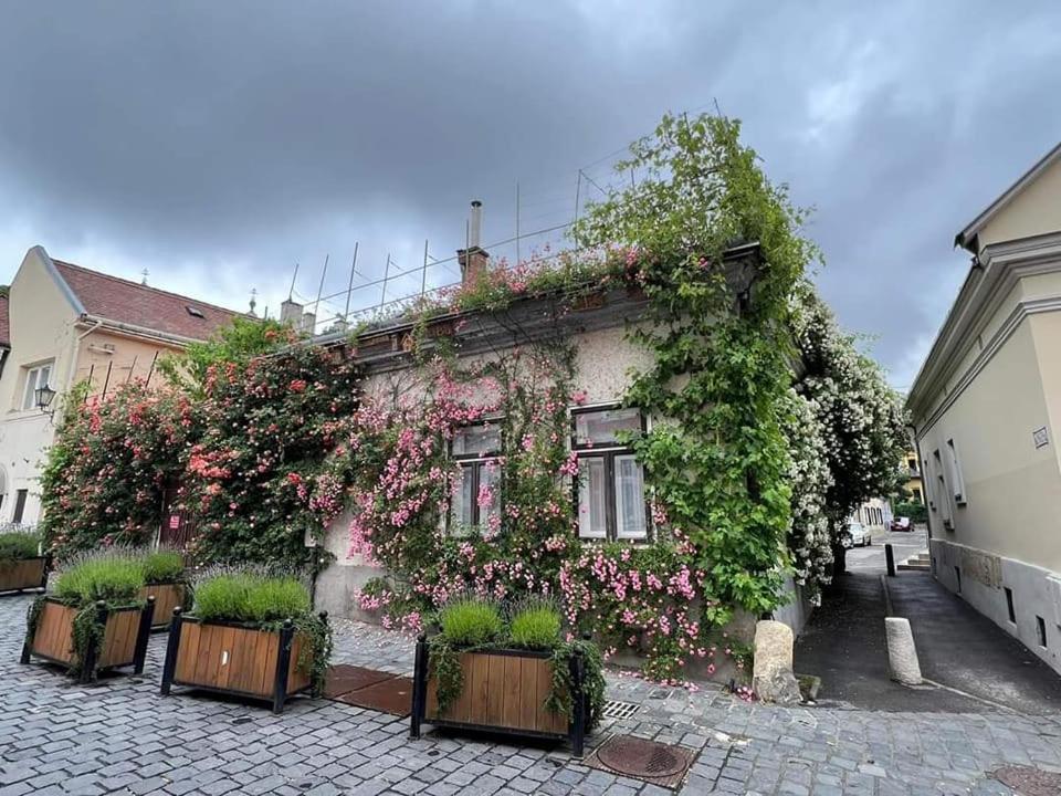 Downtown Romantic Székesfehérvár Eksteriør billede